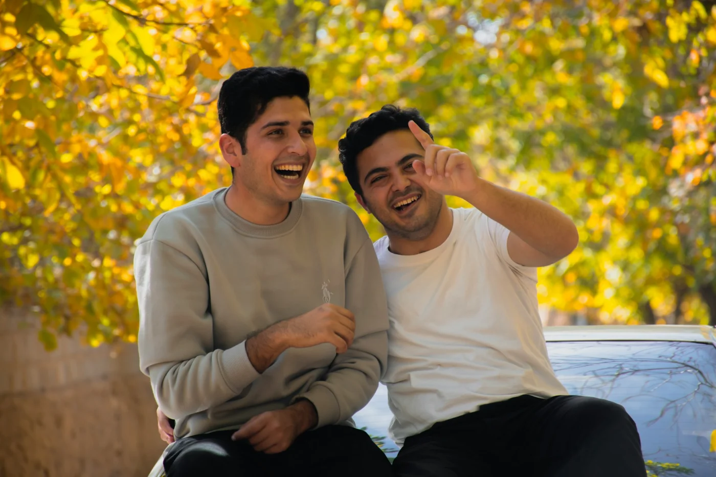 Photo Unsplash (Mohammad Mardani)